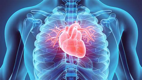 Imodstyle Reverse Heart Disease 2019