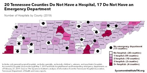 Tennessee Health Care Capacity Dashboard