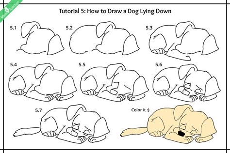 How To Draw A Dog Lying Down Pictures Dog Drawing Tutorial Dog