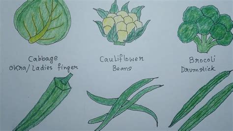 Green Vegetables Drawing Easy Drawing Vegetables Healthy Food Basket