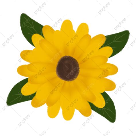 Ilustrasi Kartun Bunga Matahari Png Bunga Bunga Matahari Kartun Png