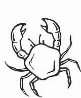 Crab Coloring Printable Animalplace sketch template
