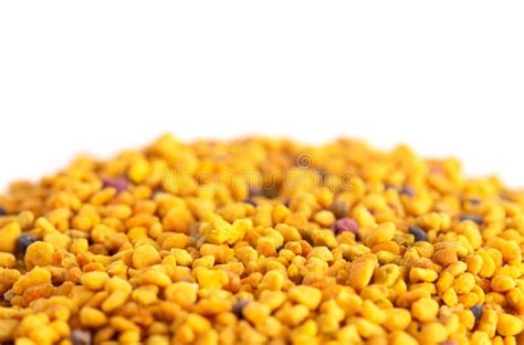 Pellets Of Yellow Bee Pollen Stock Image Image Of Background Space