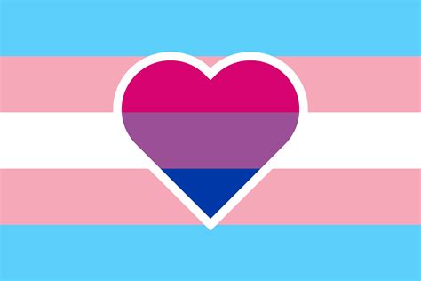 What Is The Bi Trans Flag Queervexillology