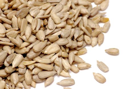 Sunflower Seeds Pile Transparent PNG PNG Play