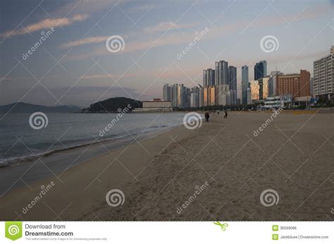 Haeundae Beach At Dawn Busan Korea Editorial Photo Image Of Exterior