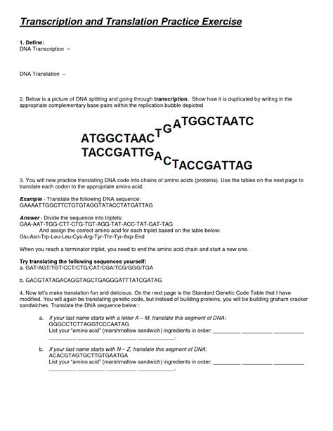 G t a c g c g t a t a c c g a c a t t c mrna: DNA Transcription and Translation Worksheet Answers | Transcription and translation, Dna ...