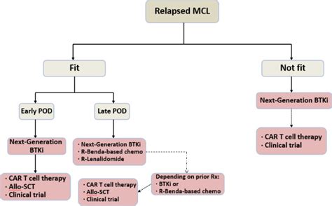 treatment landscape of relapsed refractory mantle cell lymphoma an updated review clinical