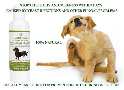 100 Natural Anti Fungal Dog Shampoo Yeast Infection Treatment For