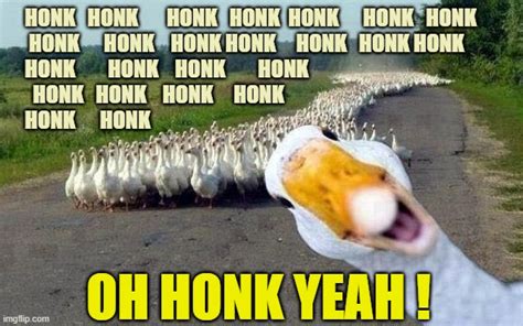 Some Real Honkers Imgflip