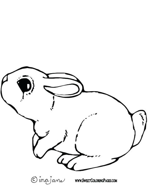 Baby Bunny Coloring Pages At Free Printable