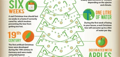The History Of Christmas Trees Infographic Only Infographic