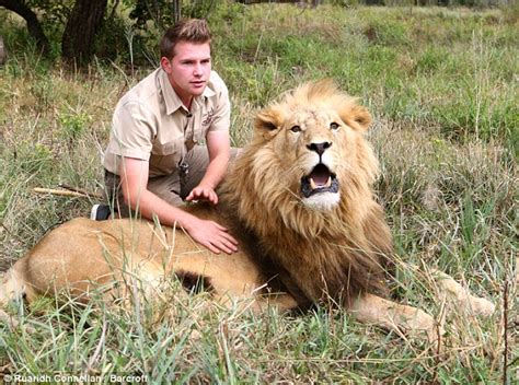 Lion Tamer Shandor Larenty Is So Skilled The Big Cats Let Him Give