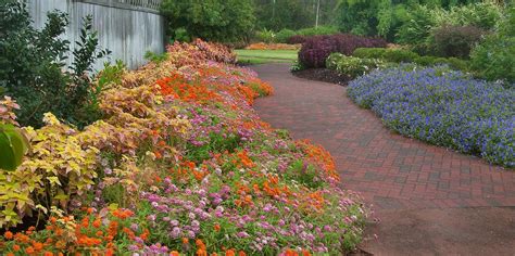 Things to do near space center houston. Mercer Botanic Gardens | American Public Gardens Association
