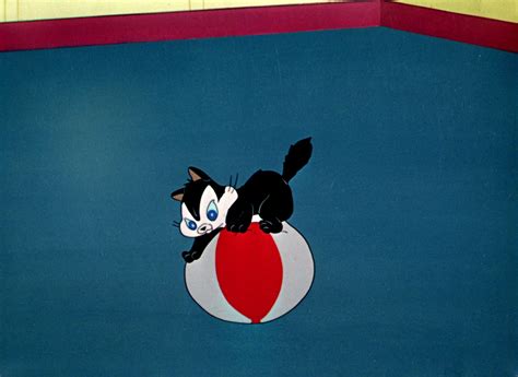 Looney tunes and merrie melodies shorts. Looney Tunes Pictures: "Feed the Kitty"