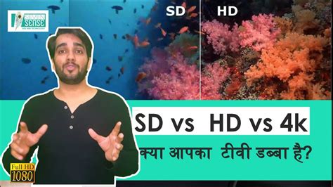 What Is Sd Hd And 4k Technology Which One Tv You Can Buy Hd Vs Uhd