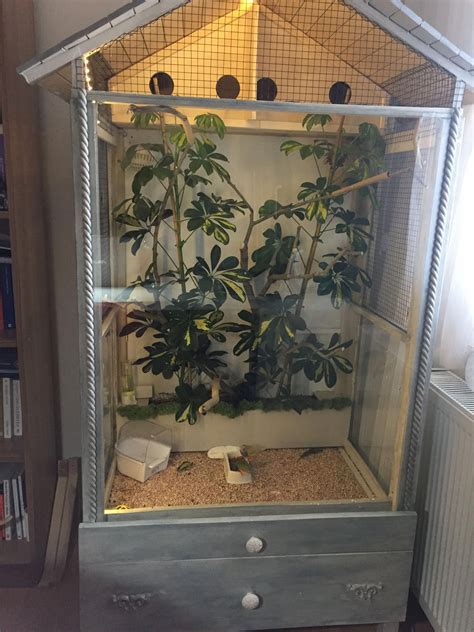 My Indoor Aviary For My Gouldian Finches Diy Project In 2020 Diy