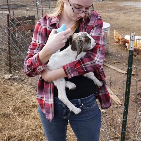 Cedar Creek Farm On Linkedin Its Meet A Goat Friday This Little Cutie Is Dara And Is The