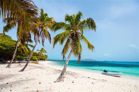 Idyllic Beach At Caribbean Stock Photo Image Of Sunny 124128200