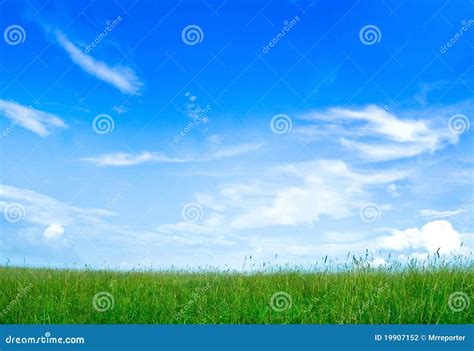 Morning Field Stock Photo Image Of Grass Rural Field 19907152