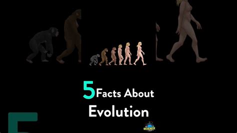 5 Facts About Evolution Youtube