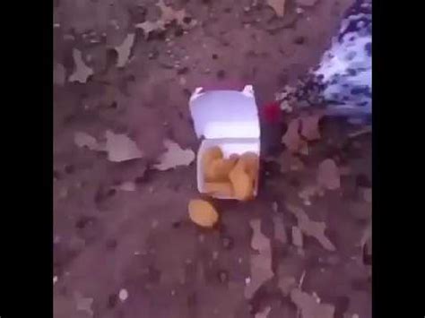 Best chicken nuggets that i have ever had. Cannibal chickens eating McNuggets - YouTube