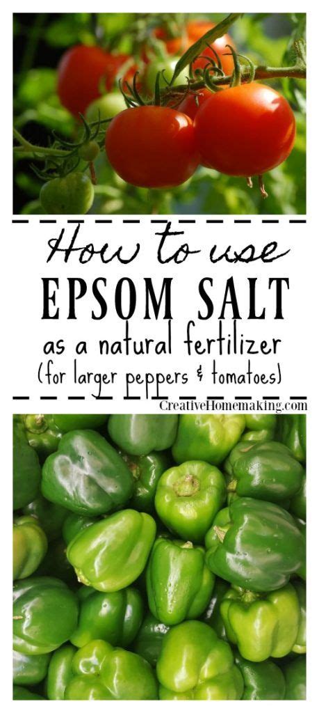 Using Epsom Salt As A Natural Fertilizer In The Garden