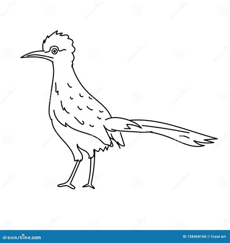 Roadrunner Bird Illustration Vectorline Art Bird Stock Vector