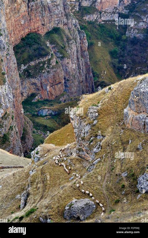 Azerbaijan Quba Guba Region Greater Caucasus Mountain Range Hiking
