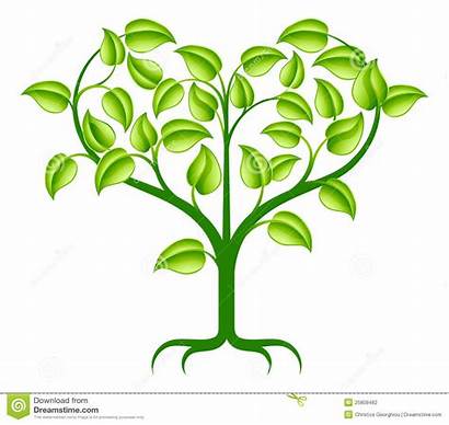 Heart Tree Illustration Branches Clipart Roots Trauma