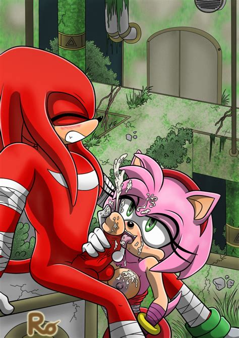 Post 2668932 Amyrose Knucklestheechidna Sonicboom Sonicthe