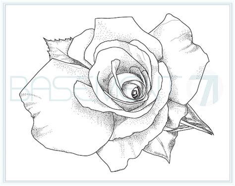 Beautiful Rose Coloring Pages For Adults