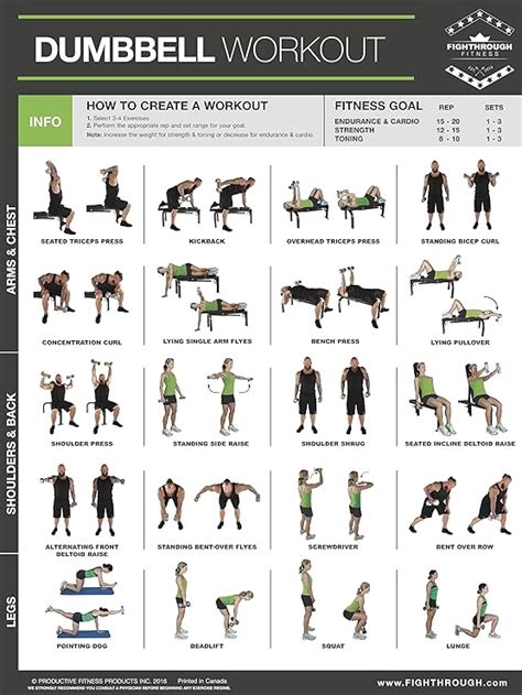 Dumbbell Workout Exercise Poster Laminated Strength Training Chart Porn Sex Picture