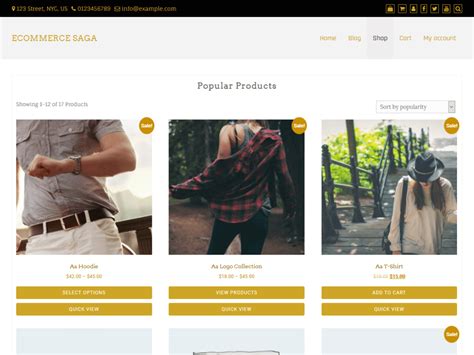 Looking for a free ecommerce wordpress theme? Top 35+ Best Free eCommerce WordPress Themes (Updated ...