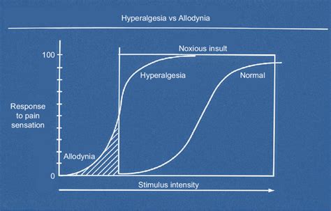 Hyperalgesia And Allodynia Note Reprinted From Current Biology