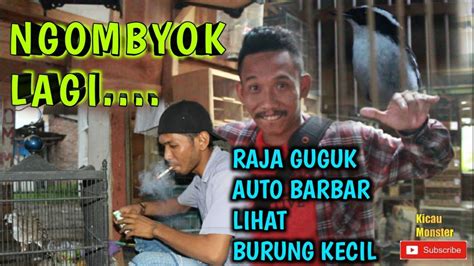 Are you see now top 10 decu kembang results on the web. KIOS MAS YUSUF AING | NGOMBYOK BURUNG DECU KEMBANG - YouTube