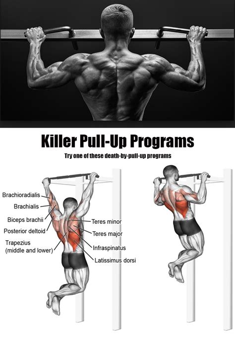 Back Attack And Lats And Middle And Lower Guide