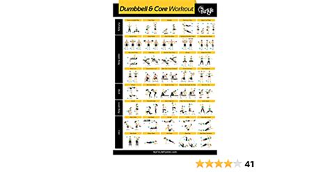 Shop My Fit Life Gym Dumbbell And Core Workout Poster Laminated Illustrated Guide With
