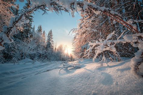 Snow Winter Nature Landscape Wallpapers Hd Desktop