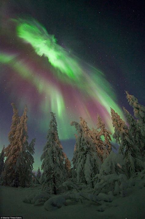 Photographer Treks Into Siberia For Perfect Shots Of Northern Lights