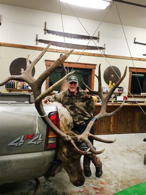 Southwest Montana Elk Just Shy Of State Record Explore Big Sky