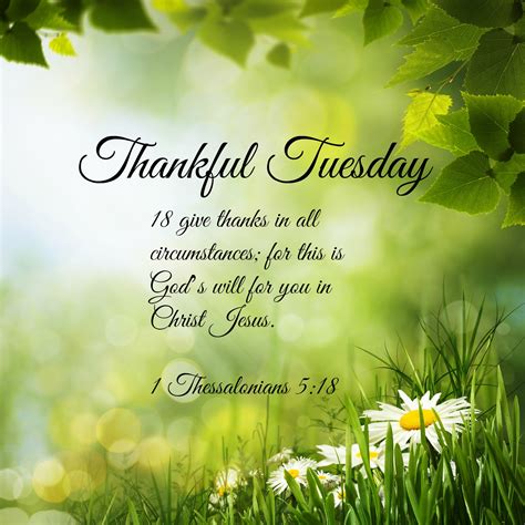 Thankful Tuesday/Martes de dar gracias - LatinasUnited