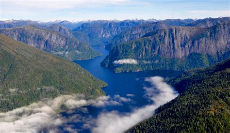 Tongass National Forest Must Know Information And Guide