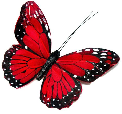 Red Butterfly 3d Wallpapers Top Free Red Butterfly 3d Backgrounds