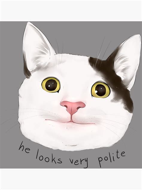 He Looks Very Polite Polite Cat Meme Catto Dank Meme F35 Poster By