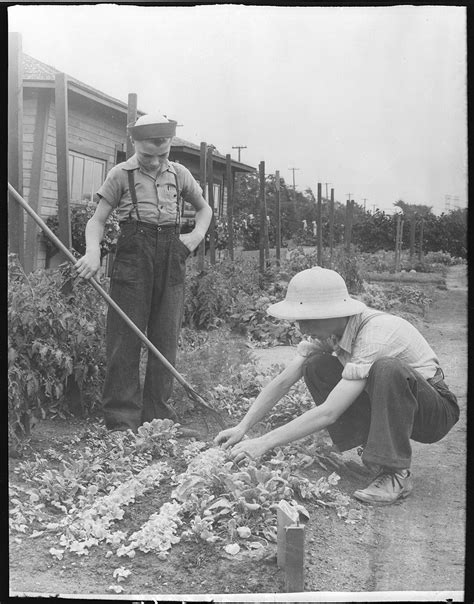 Victory gardens were promoted as family fun, as good healthy recreation for all ages. Victory Gardens | The Canadian Encyclopedia