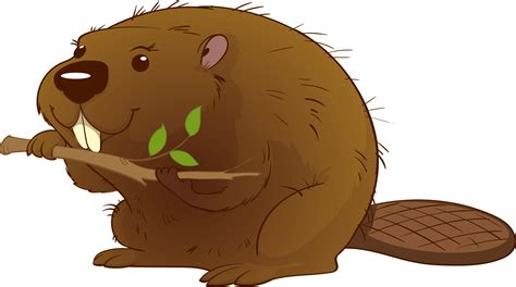 Beaver Clipart Images