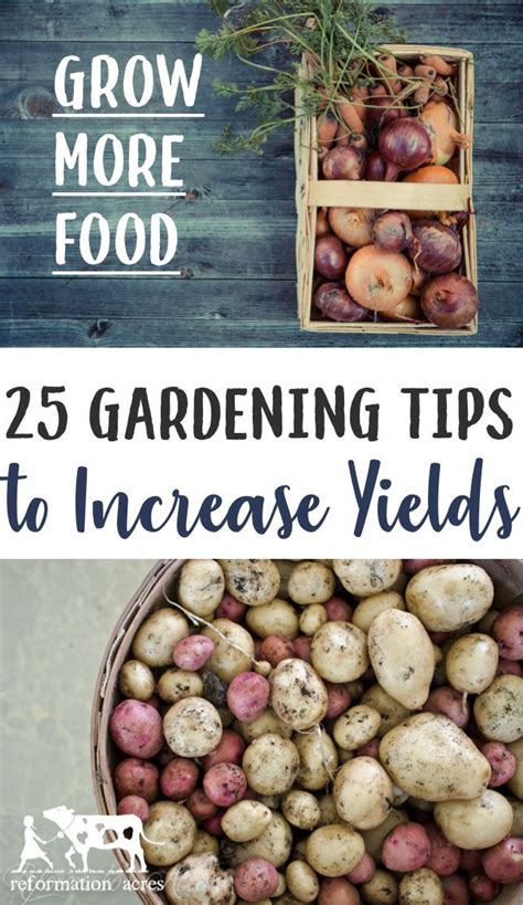 Want To Grow Enough Vegetables To Eat Fresh And Can Maximize Your