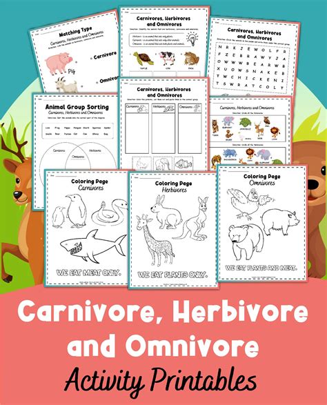 Learn To Classify Animals Herbivore Carnivore Or Omnivore Artofit