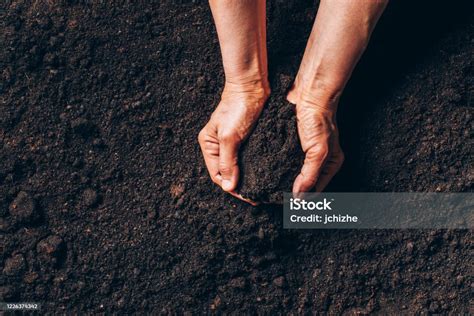 Agriculture Organic Gardening Planting Or Ecology Concept Dirty Woman